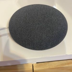 Google home works perfectly